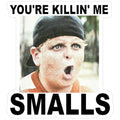 SMALLS Flower 14g Bags