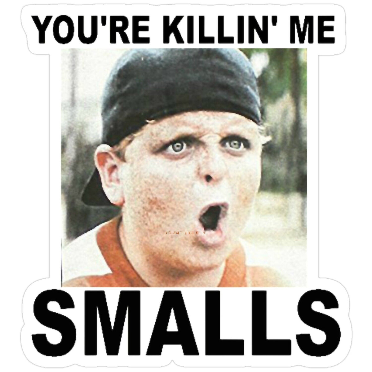 SMALLS Flower 14g Bags