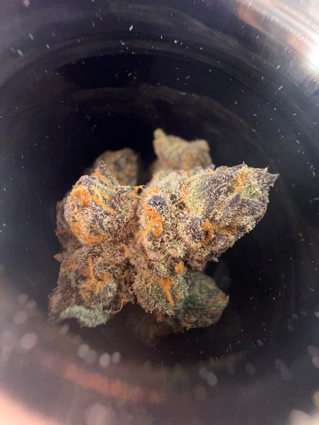 Slurmz Flower By Maine Trees