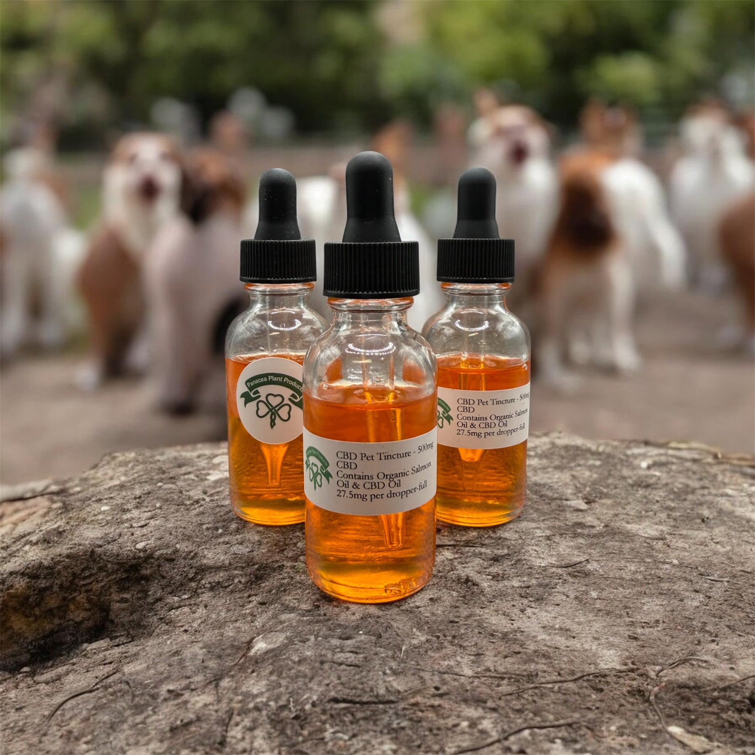 500mg CBD Dog Tincture
