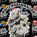 White Marshmallow 7 Gram Jars