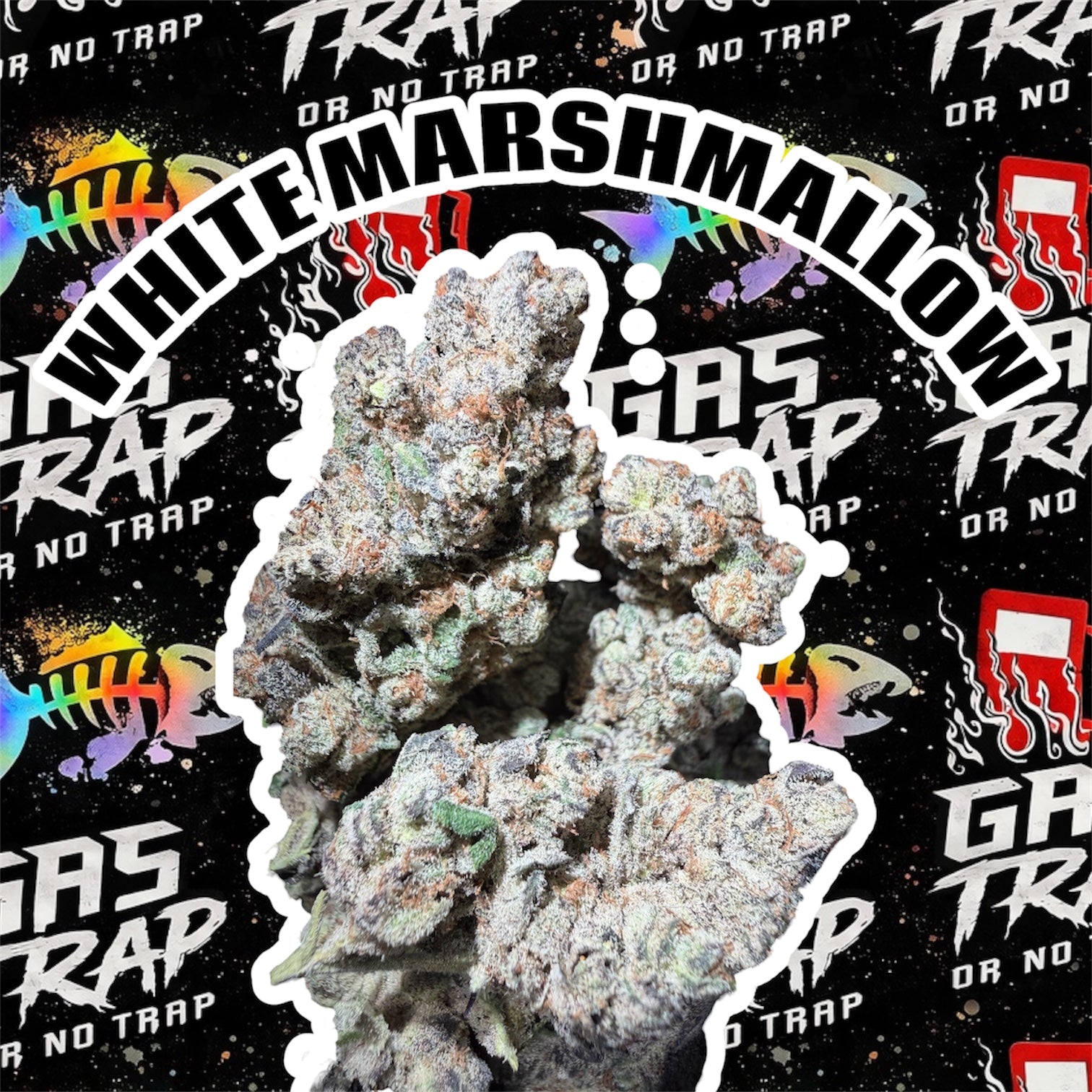 White Marshmallow 7 Gram Jars
