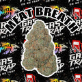 Meat Breath 7 Gram Jars