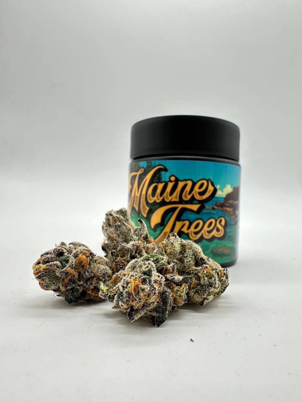 Blue Lobster Flower By Maine Trees